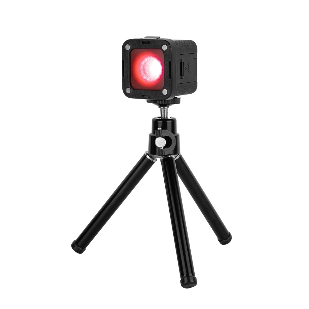 SmallRig RM01 Mini LED Video Light Kit 3469