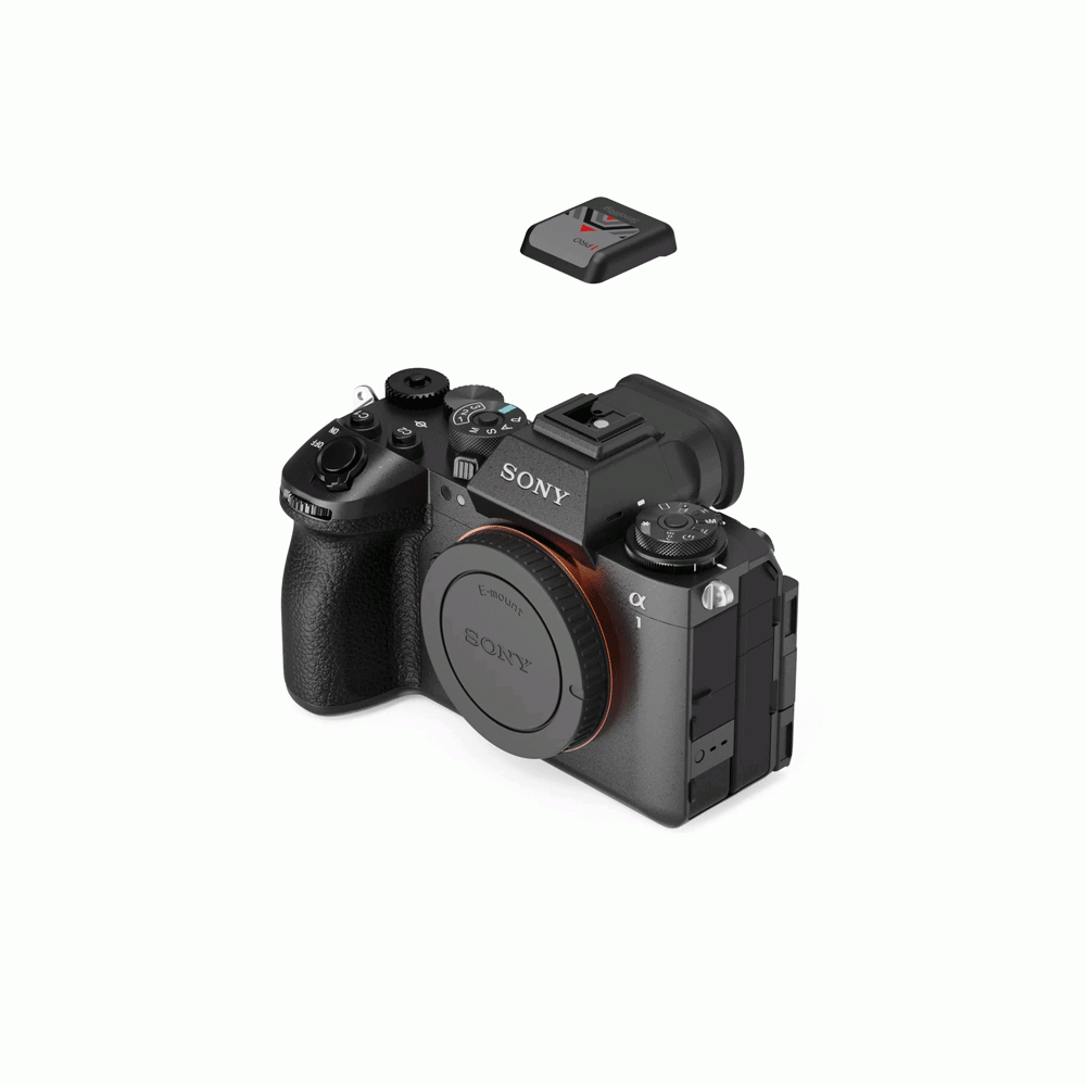 SmallRig Hot Shoe Cover for Sony (2pcs, Black) 5494