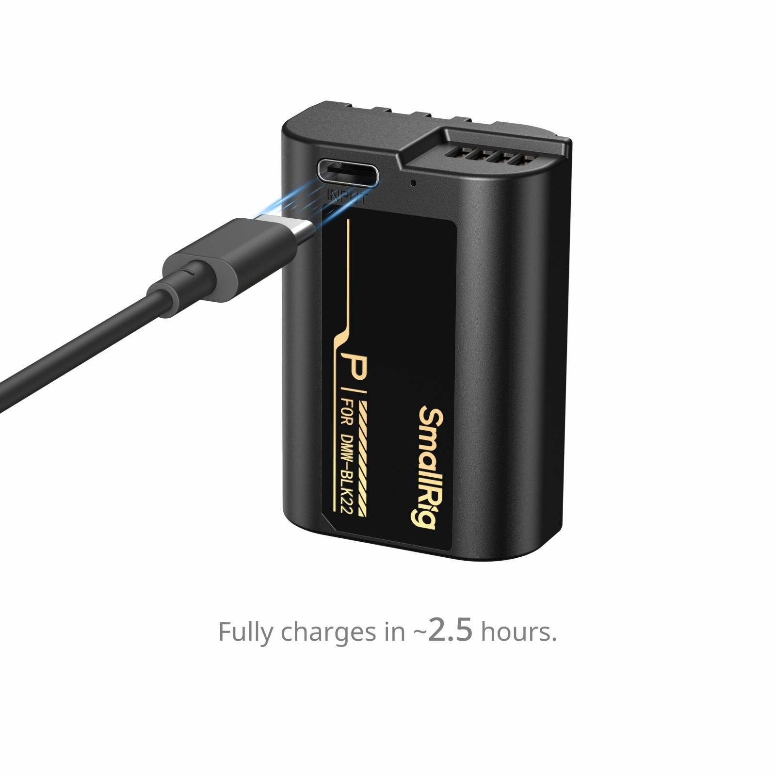 SmallRig Camera Battery with USB-C Charging for Panasonic LUMIX DMW-BLK22 6098