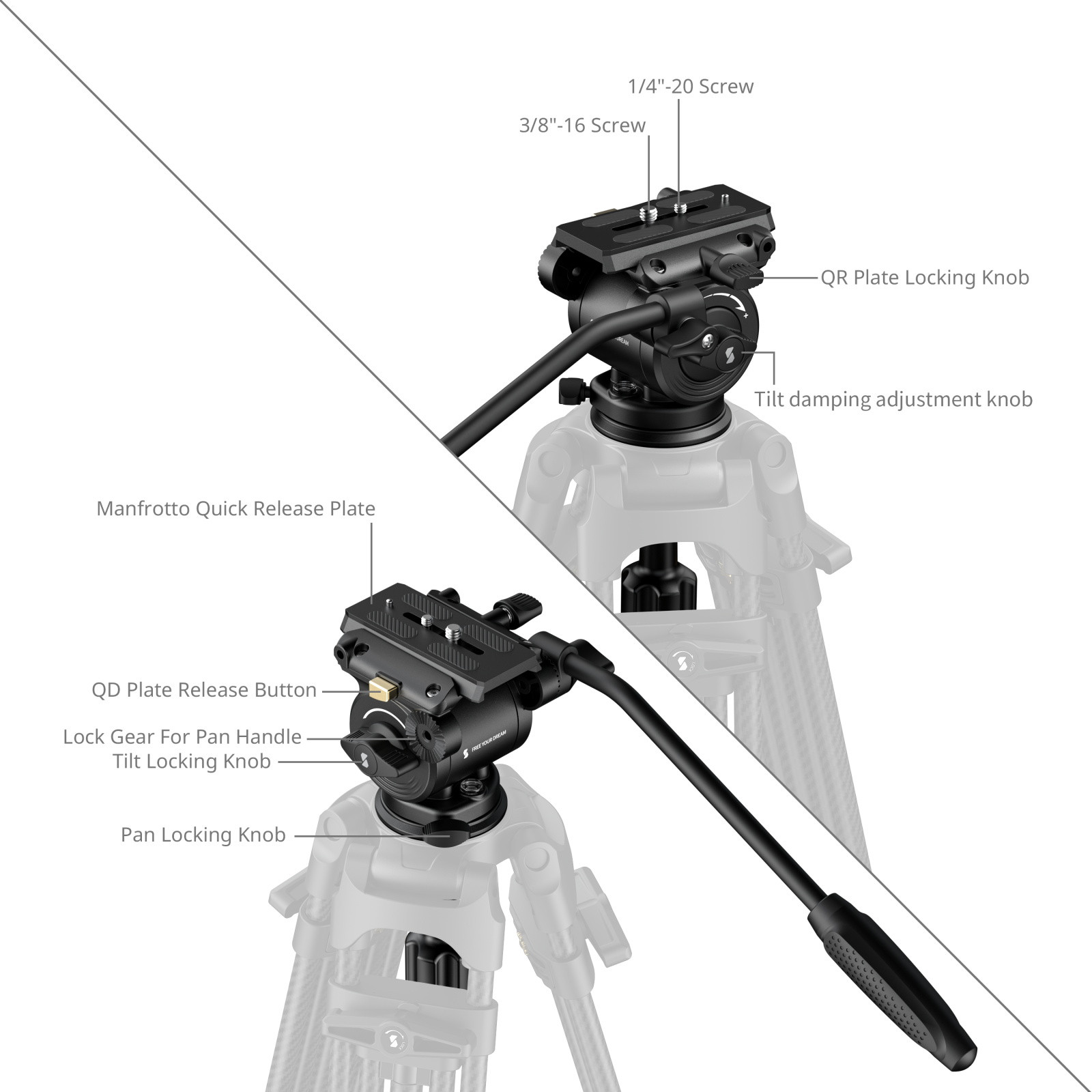 SmallRig Heavy-Duty Video Head 6551